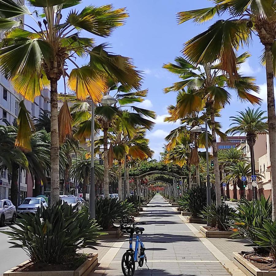 Apartamento Bien Situado - Buenas Conexiones Santa Cruz de Tenerife Bagian luar foto