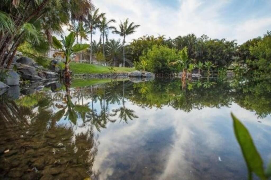 Apartamento Bien Situado - Buenas Conexiones Santa Cruz de Tenerife Bagian luar foto